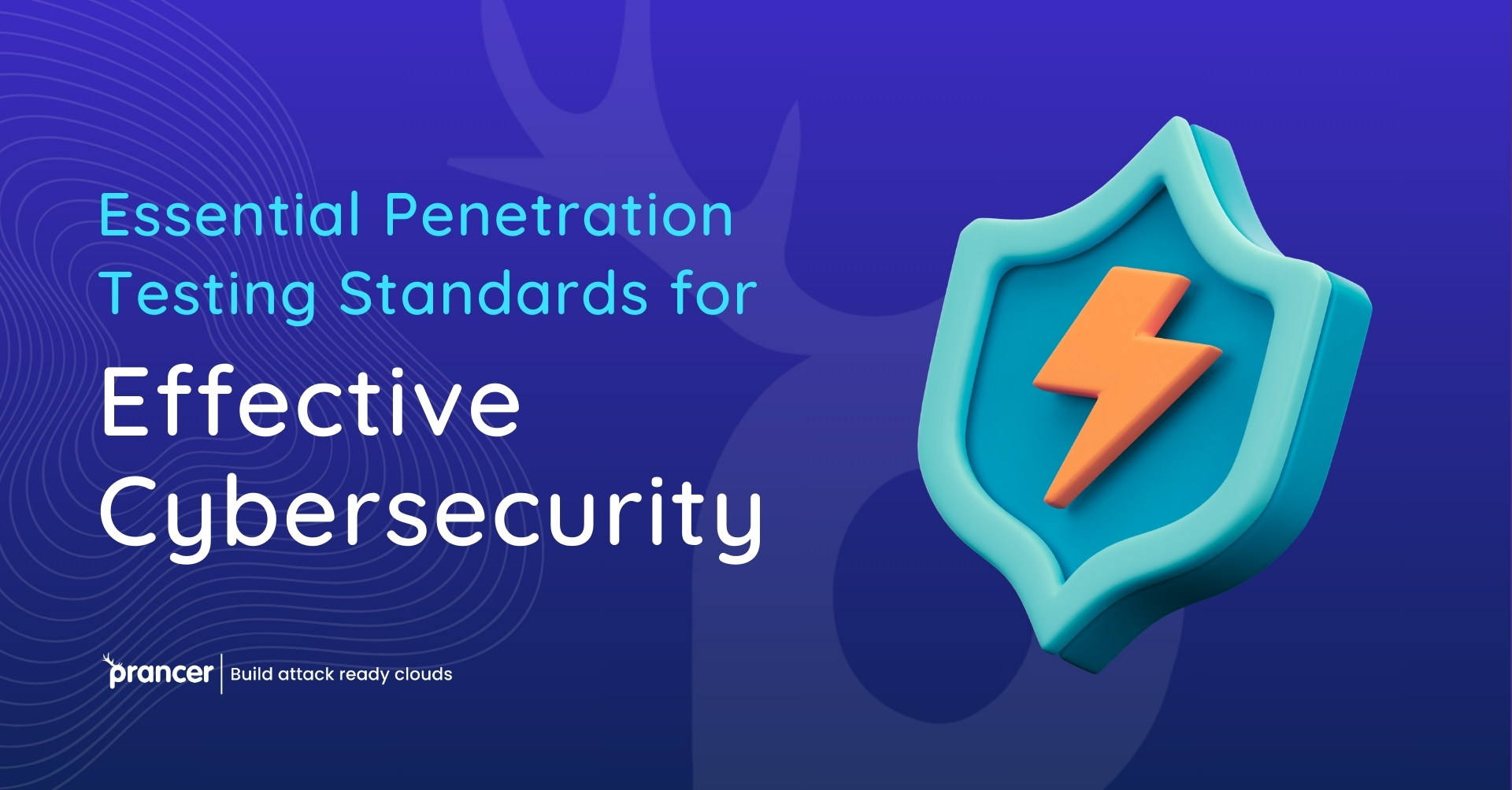 Penetration Testing Standards